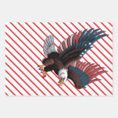 US 250th Anniversary Inpakpapier Vel (Voorkant)