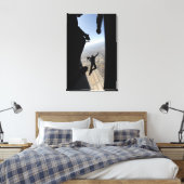 US Air Force Academy Parachute Team Canvas Afdruk (Insitu (Slaapkamer))