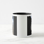 US Air Force Academy Parachute Team Mok (Midden)