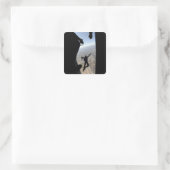 US Air Force Academy Parachute Team Vierkante Sticker (Tas)