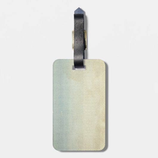 US Air Mail Goose Tan Hued Bagagelabel (Achterkant verticaal)