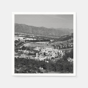 US California Universal studio 1970 Servet