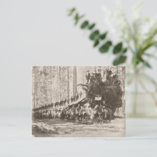 US Calvarium beschermt nationale parken Briefkaart (Staand voorkant)