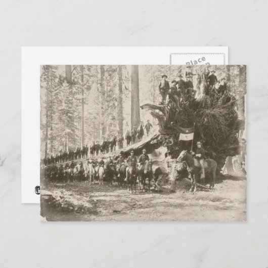 US Calvarium beschermt nationale parken Briefkaart (Voorkant / Achterkant)