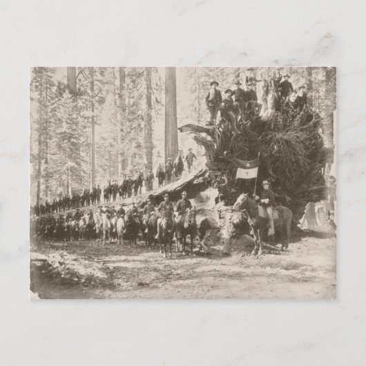 US Calvarium beschermt nationale parken Briefkaart (Voorkant)