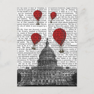 US Capitol Building Red Hot Air Luchtballonnen Briefkaart