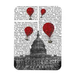 US Capitol Building Red Hot Air Luchtballonnen Magneet