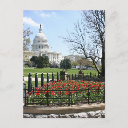 US Capitol-gebouw Briefkaart (Voorkant)