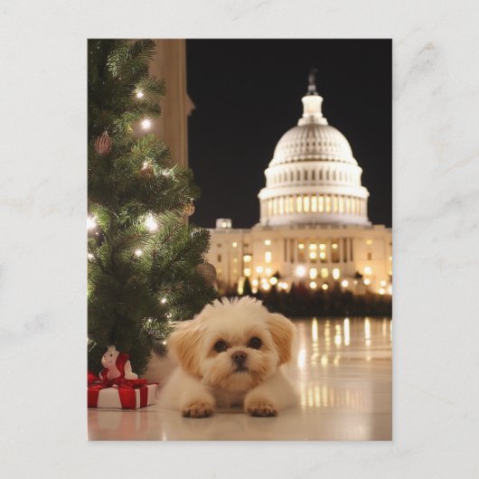 US Capitol Hill Christmas Briefkaart hond (Voorkant)