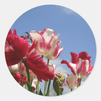 US Capitol lente Ronde Sticker