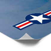 US DEMO TEAMS SALUTE! POSTER (Hoek)