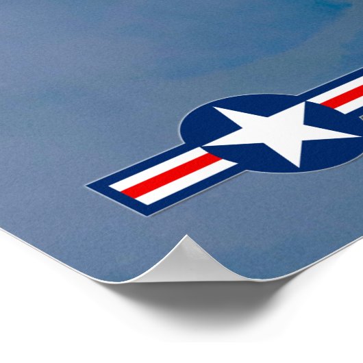 US DEMO TEAMS SALUTE! POSTER (Hoek)