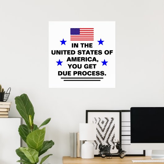 US Due Process Poster (Thuiskantoor)