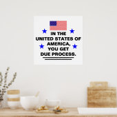 US Due Process Poster (Keuken)