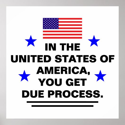 US Due Process Poster (Voorkant)