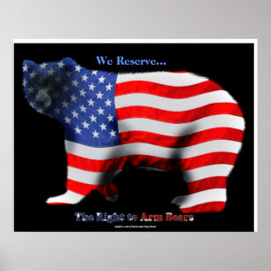 US FLAG & BEER Funny Anti-Hunting Patriottic Poste Poster