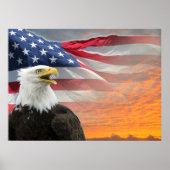 US Flag Eagle Poster (Voorkant)