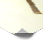 US Flag Union Civil War Medal Eagle Poster (Hoek)