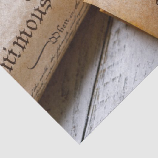 US Founding Documents Tissuepapier (Detail)