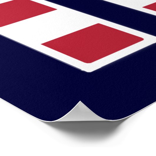 US Freedom Flag Poster (medium) (Hoek)