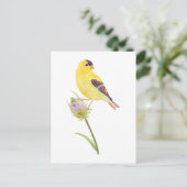 US Goldfinch en Thistle-briefkaart Briefkaart (Staand voorkant)
