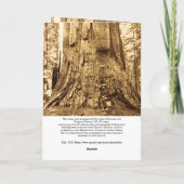 US Grant Big Redwood Tree Yosemite Funny Kaart (Achterkant)
