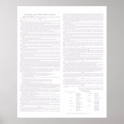 US-grondwetgevende schrijfmachine, Mauve, Poster (Voorkant)