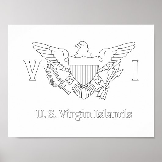 US Maagdeneiland Flag Adult Coloring Poster (Voorkant)