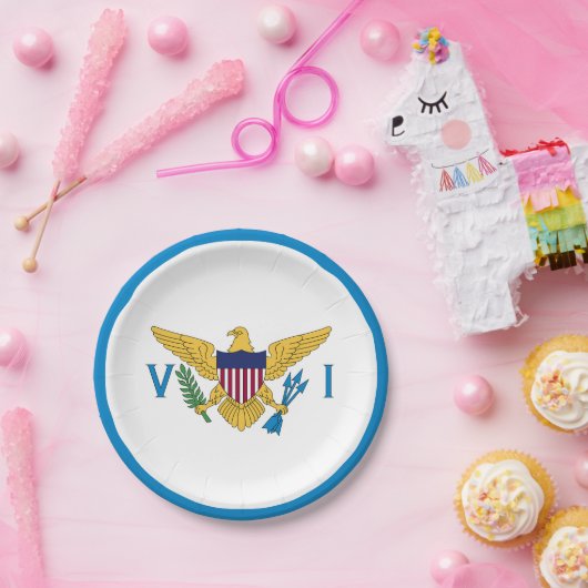 US Maagdeneilanden Vlag borden, feest, sport Papieren Bordje (Feest)