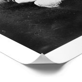 US Maine Baseball Team 1898 Poster (Hoek)