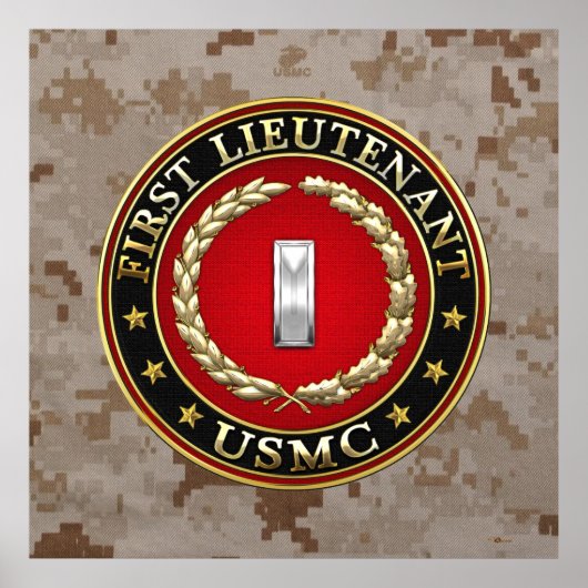 US Marines: Eerste luitenant (USMC 1stLt) [3D] Poster (Voorkant)
