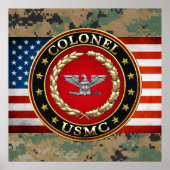 US Marines: Kolonel (USMC Col) [3D] Poster (Voorkant)