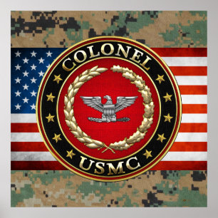 US Marines: Kolonel (USMC Col) [3D] Poster
