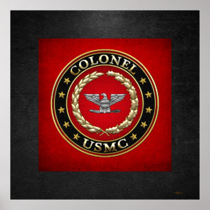 US Marines: Kolonel (USMC Col) [3D] Poster