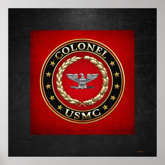 US Marines: Kolonel (USMC Col) [3D] Poster (Voorkant)