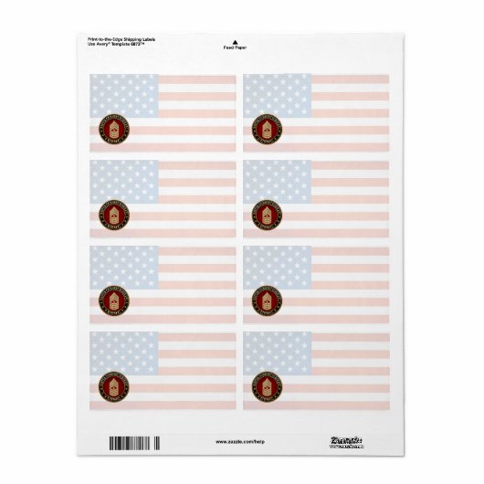 US Marines: Master Gunnery Sergeant (USMC MGySgt) Etiket (Full Sheet)