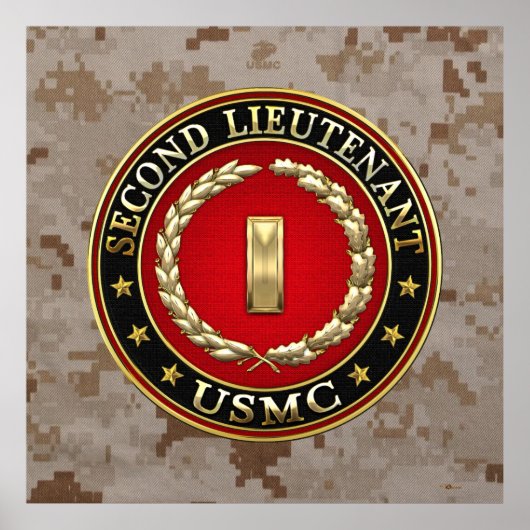 US Marines: Tweede luitenant (USMC 2ndLt) [3D] Poster (Voorkant)