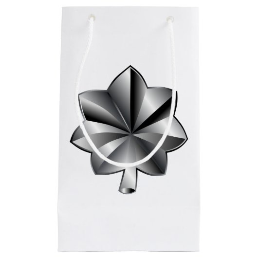 US Militaire Rank - Luitenant-kolonel Klein Cadeauzakje (Voorkant)