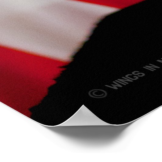 US MILITAIRE SERVICE DOG POSTER (Hoek)