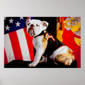 US MILITAIRE SERVICE DOG POSTER (Voorkant)