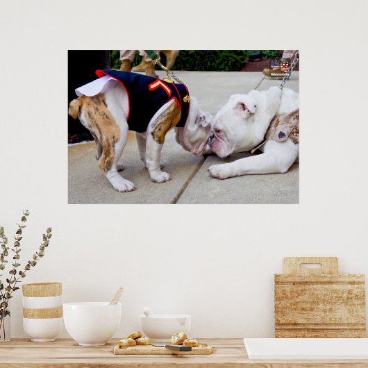 US MILITAIRE SERVICE DOG POSTER (Keuken)