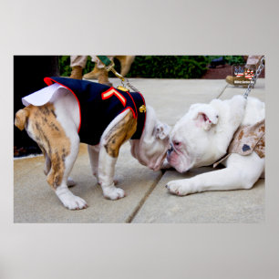 US MILITAIRE SERVICE DOG POSTER