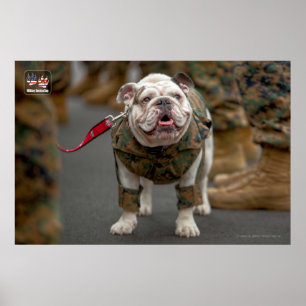 US MILITAIRE SERVICE DOG POSTER