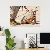US MILITAIRE SERVICE DOG POSTER (Thuiskantoor)