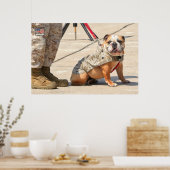 US MILITAIRE SERVICE DOG POSTER (Keuken)