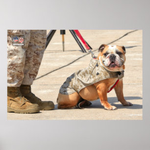 US MILITAIRE SERVICE DOG POSTER