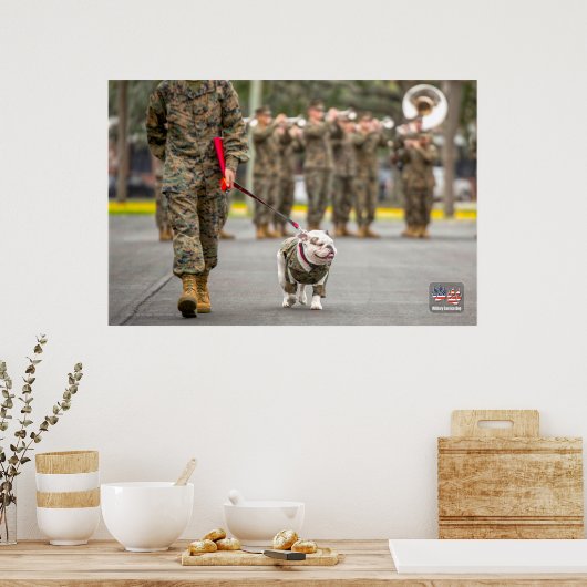 US MILITAIRE SERVICE DOG POSTER (Keuken)