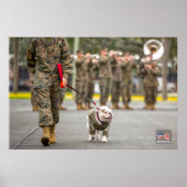 US MILITAIRE SERVICE DOG POSTER (Voorkant)