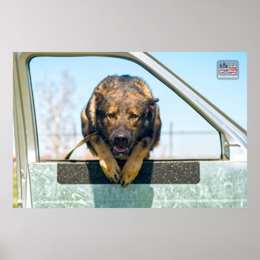 US MILITAIRE WERKDOG POSTER (Voorkant)