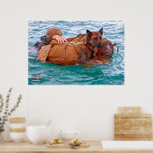 US MILITAIRE WERKDOG POSTER (Keuken)